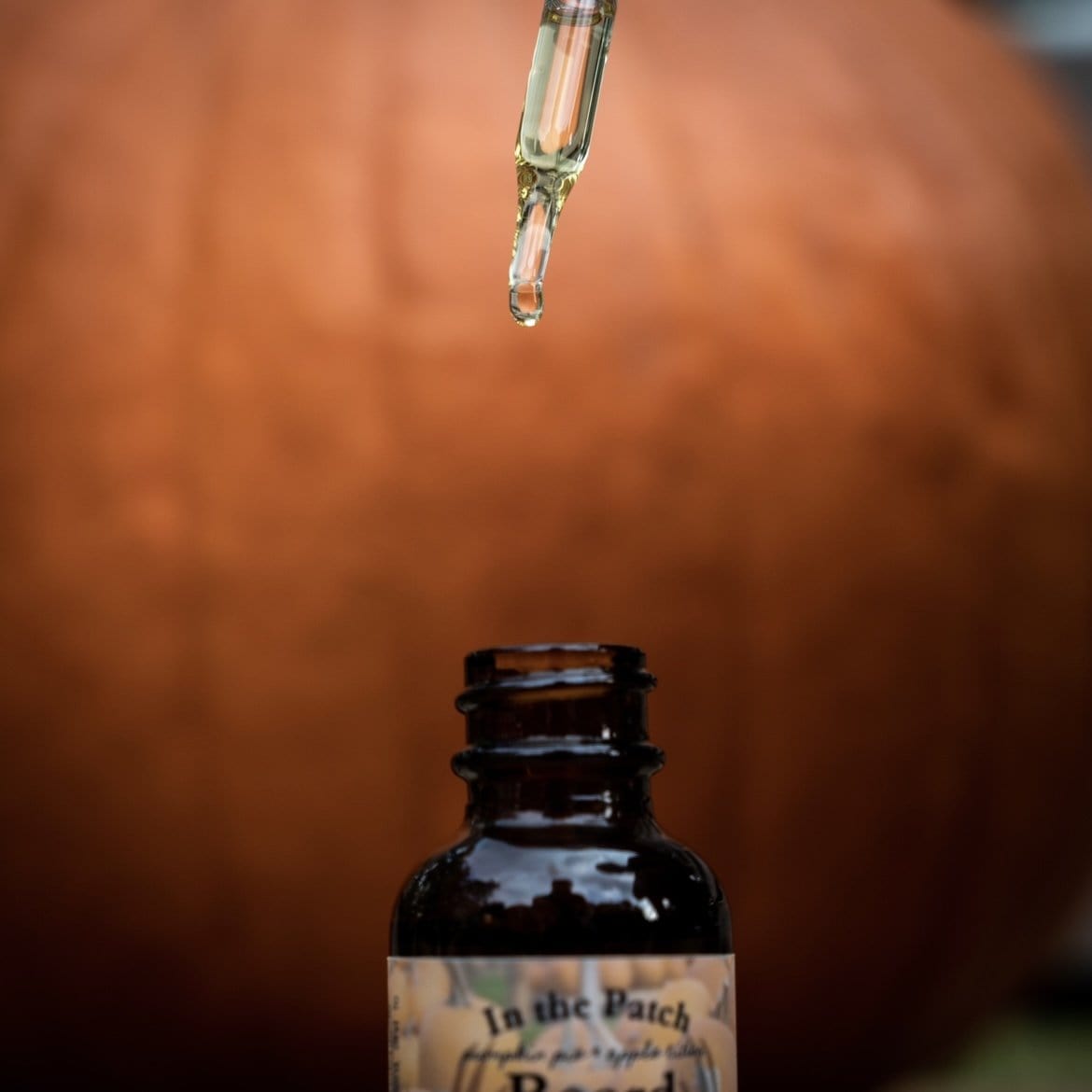 pumpkin spice beard oil